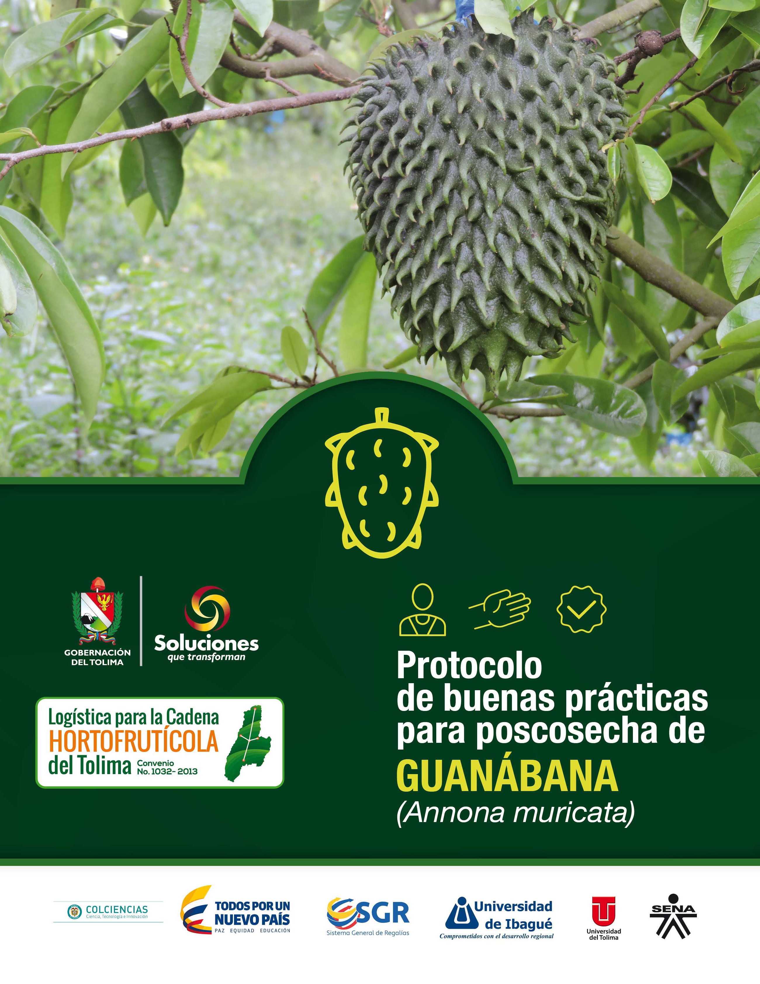 Cover of Protocolo de buenas prácticas para poscosecha de guanábana 